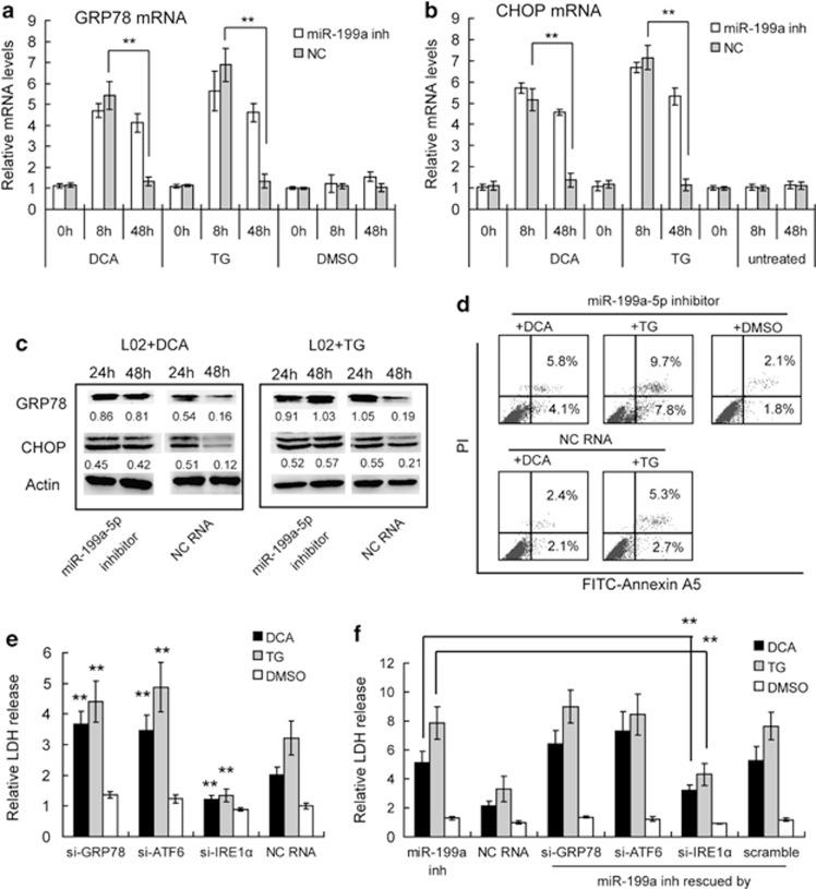 https://cdn.ncbi.nlm.nih.gov/pmc/blobs/b9a4/3668635/a69e2cd70ccb/cddis2013134f4.jpg