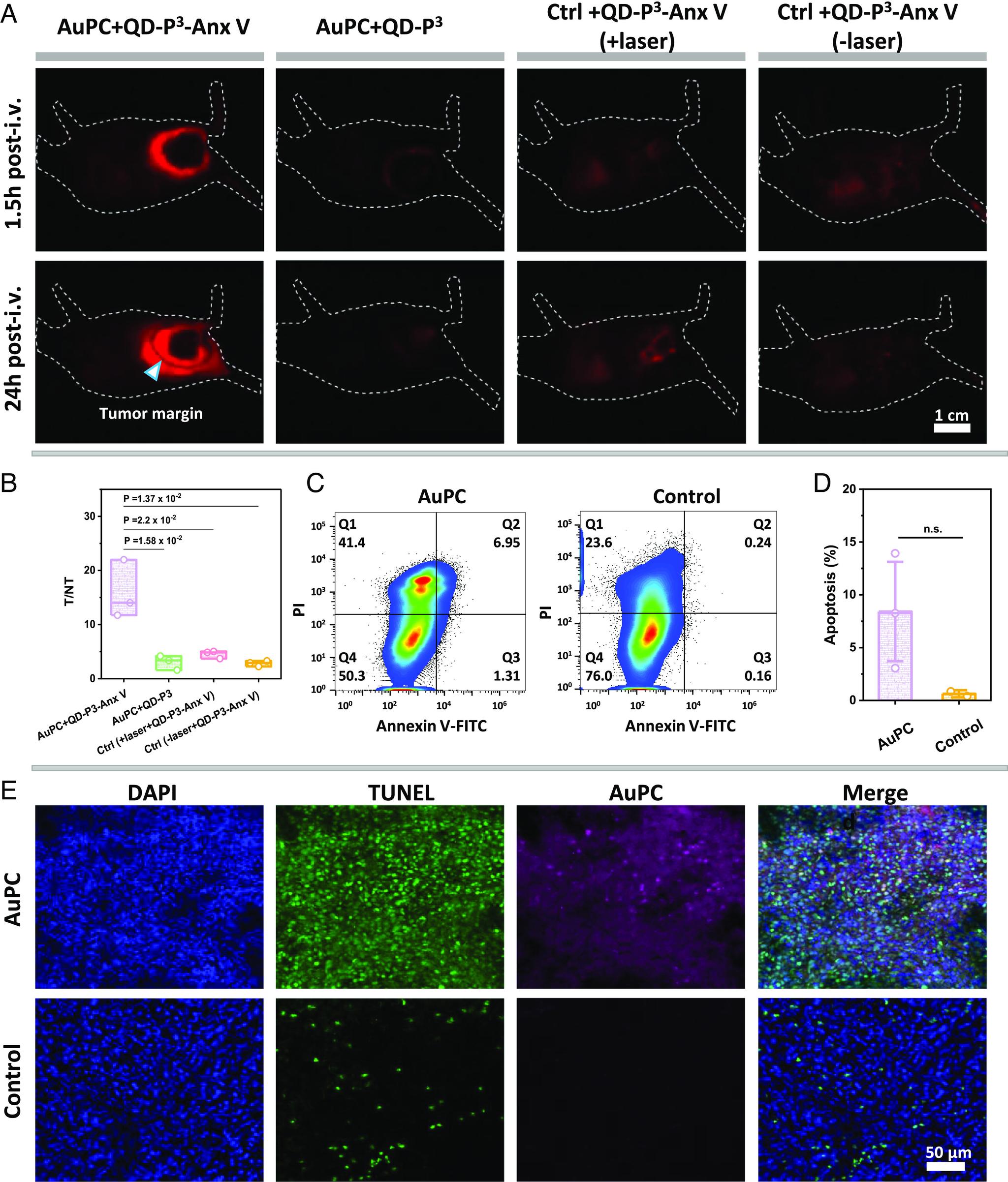 https://cdn.ncbi.nlm.nih.gov/pmc/blobs/b9a7/10835035/859074c59f0e/pnas.2318265121fig06.jpg