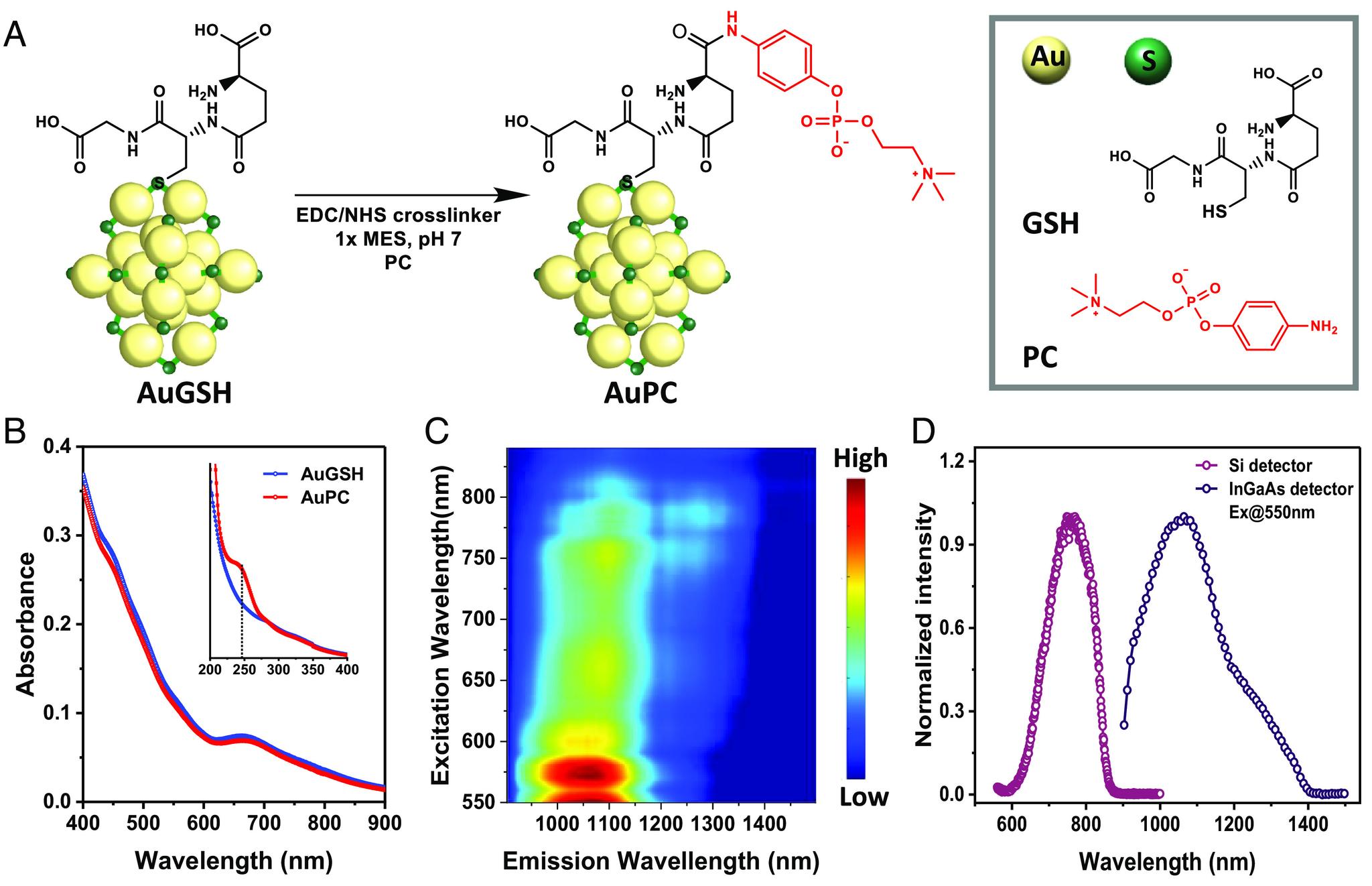 https://cdn.ncbi.nlm.nih.gov/pmc/blobs/b9a7/10835035/a3465c5a006d/pnas.2318265121fig01.jpg
