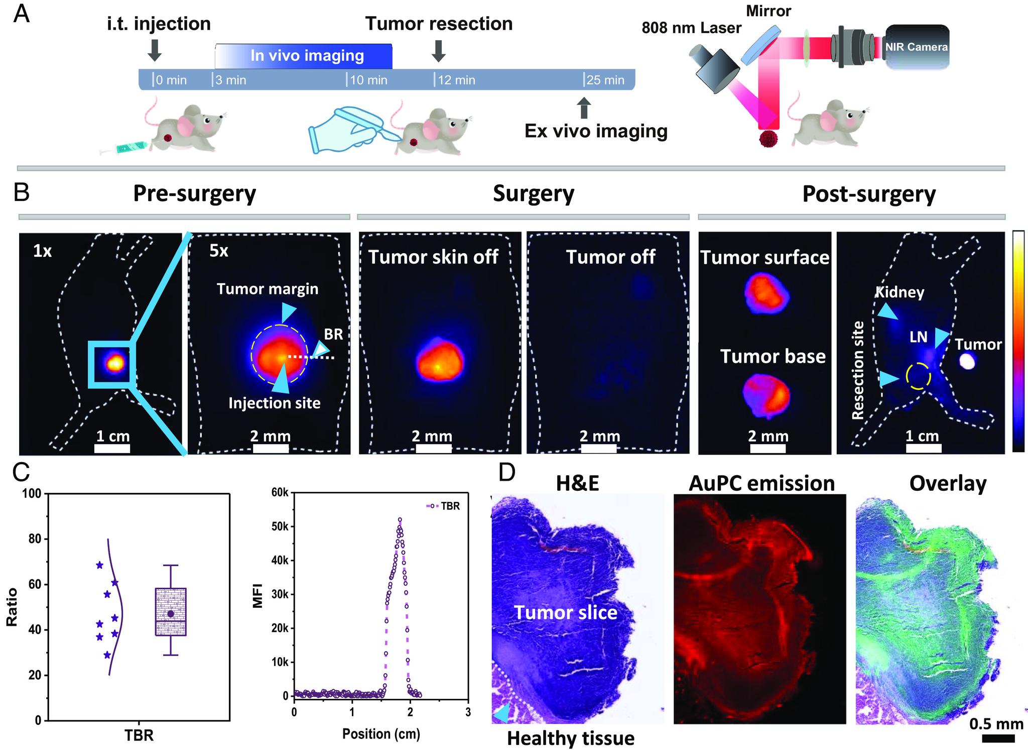 https://cdn.ncbi.nlm.nih.gov/pmc/blobs/b9a7/10835035/a53a9107bfa8/pnas.2318265121fig02.jpg
