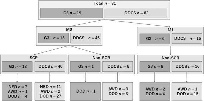 https://cdn.ncbi.nlm.nih.gov/pmc/blobs/b9ab/9277248/539d9af81122/CAS-113-2397-g002.jpg