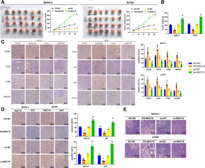 https://cdn.ncbi.nlm.nih.gov/pmc/blobs/b9ac/11837316/35abb736283b/12885_2025_13461_Fig5_HTML.jpg