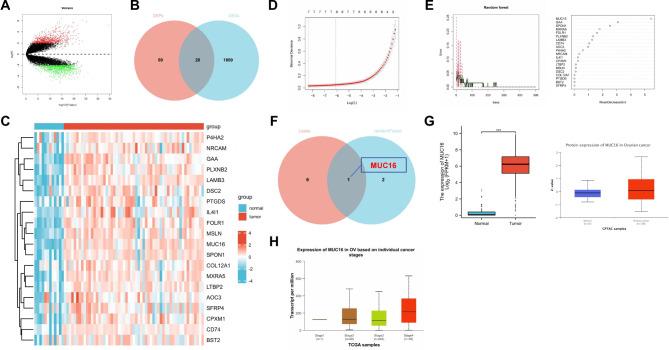 https://cdn.ncbi.nlm.nih.gov/pmc/blobs/b9ac/11837316/59bb5c030f1e/12885_2025_13461_Fig2_HTML.jpg