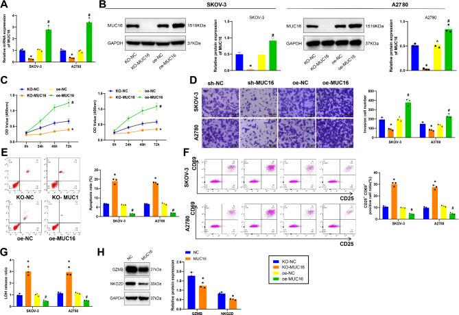 https://cdn.ncbi.nlm.nih.gov/pmc/blobs/b9ac/11837316/e9997527d491/12885_2025_13461_Fig4_HTML.jpg