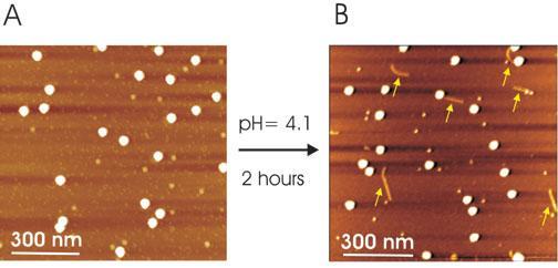 https://cdn.ncbi.nlm.nih.gov/pmc/blobs/b9ac/443560/52089f4039a4/bpo_v6_p120_m80f4lg.jpg