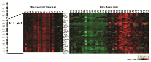 https://cdn.ncbi.nlm.nih.gov/pmc/blobs/b9ad/3441862/ac9adea1c0c8/1755-8794-5-14-5.jpg