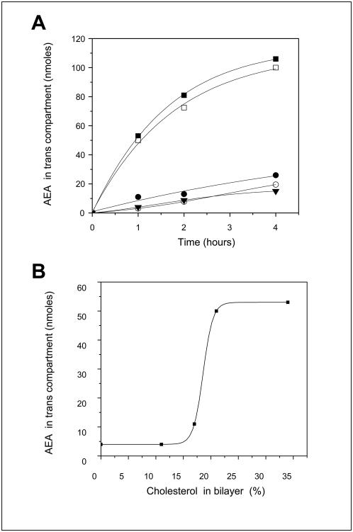 https://cdn.ncbi.nlm.nih.gov/pmc/blobs/b9af/2658885/1151d37c598d/pone.0004989.g009.jpg