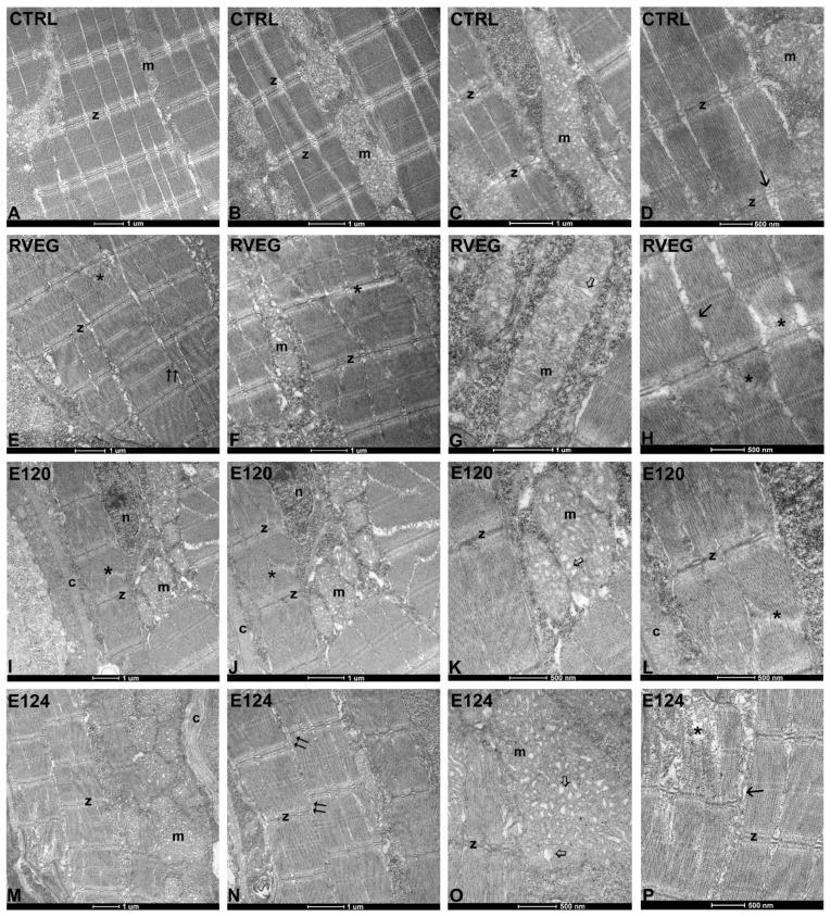 https://cdn.ncbi.nlm.nih.gov/pmc/blobs/b9b0/12196790/94c688e7df3c/toxics-13-00447-g005.jpg