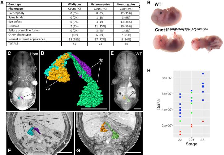 https://cdn.ncbi.nlm.nih.gov/pmc/blobs/b9b0/6506862/4b5780ead107/gr2.jpg