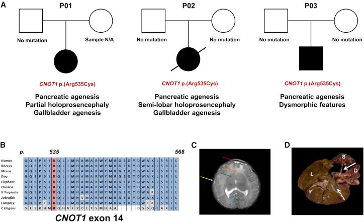 https://cdn.ncbi.nlm.nih.gov/pmc/blobs/b9b0/6506862/afaaec8acc0c/gr1.jpg