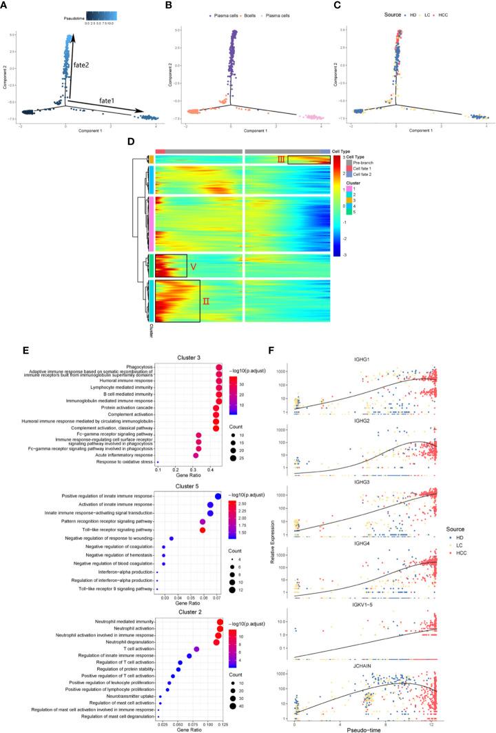 https://cdn.ncbi.nlm.nih.gov/pmc/blobs/b9b0/7667372/29783bc8c5a5/fonc-10-596318-g003.jpg
