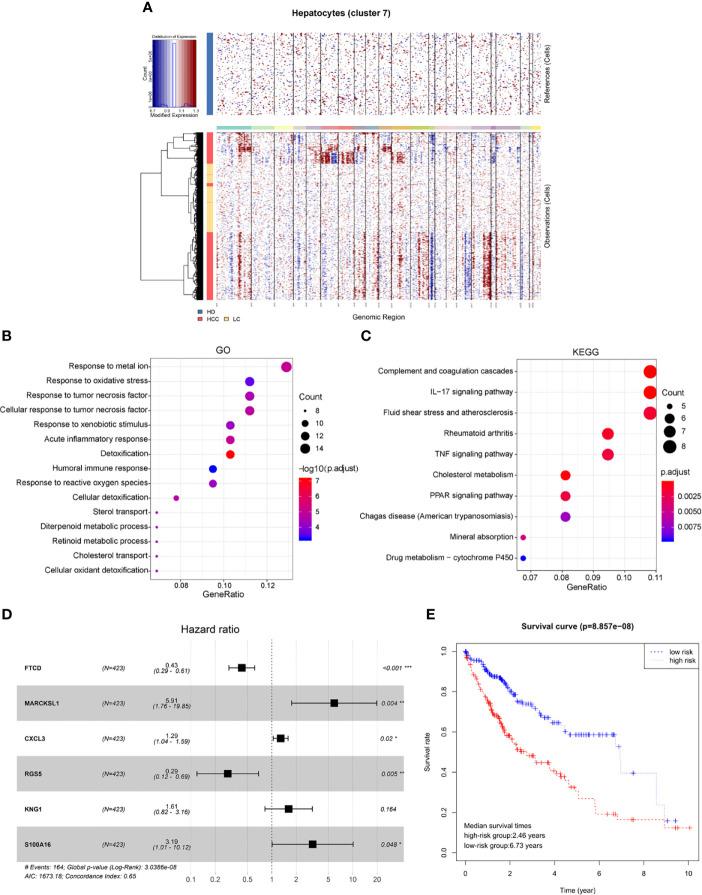 https://cdn.ncbi.nlm.nih.gov/pmc/blobs/b9b0/7667372/822957466199/fonc-10-596318-g004.jpg