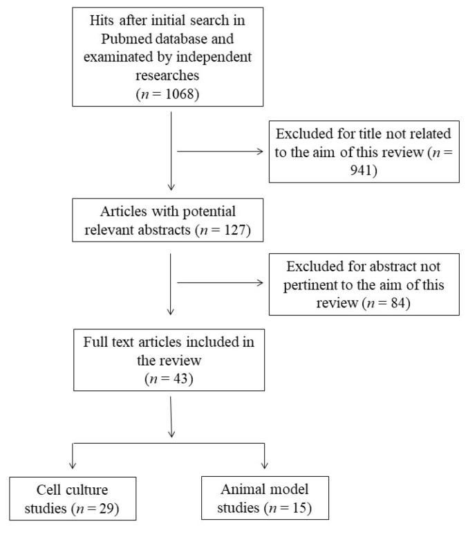 https://cdn.ncbi.nlm.nih.gov/pmc/blobs/b9b1/10295041/ae5753818b0c/antioxidants-12-01283-g001.jpg