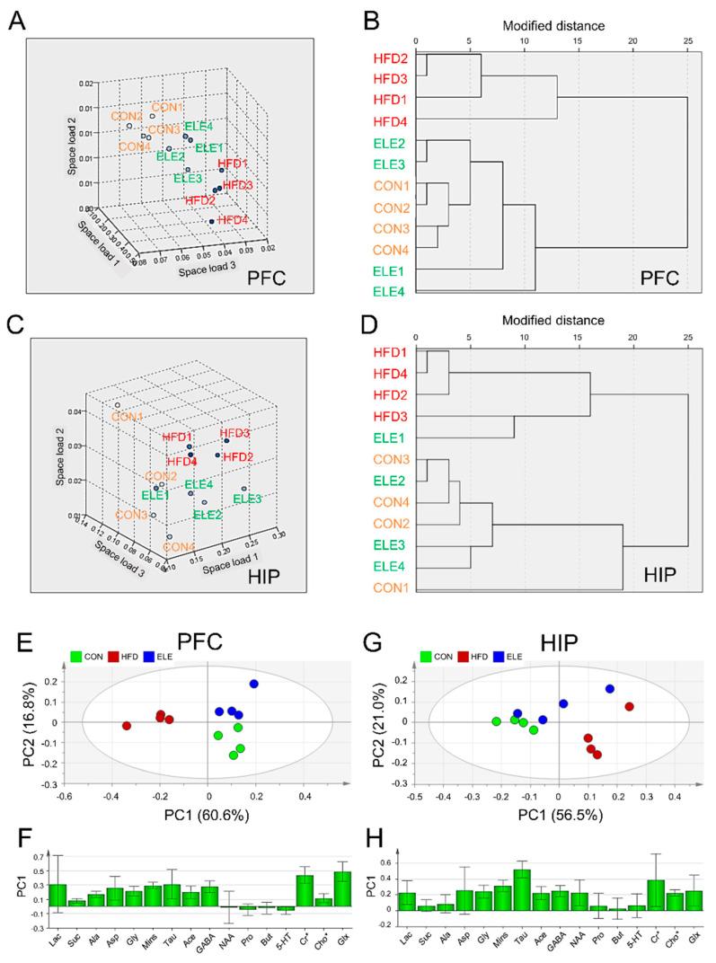 https://cdn.ncbi.nlm.nih.gov/pmc/blobs/b9b1/8301405/b22f4adc8e70/biomedicines-09-00704-g002.jpg
