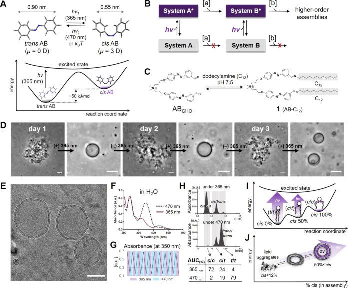https://cdn.ncbi.nlm.nih.gov/pmc/blobs/b9b4/10690792/7713ae7cad87/ja3c09894_0001.jpg