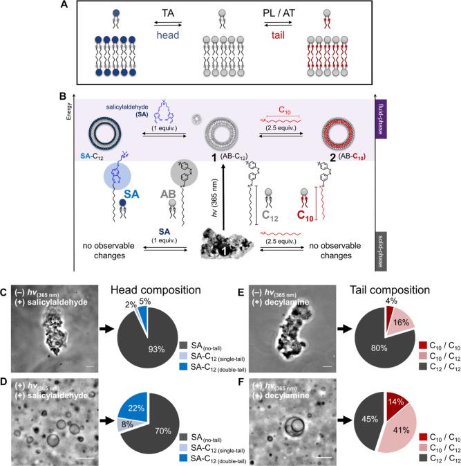 https://cdn.ncbi.nlm.nih.gov/pmc/blobs/b9b4/10690792/a29cbfc2a804/ja3c09894_0002.jpg