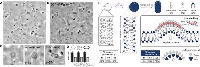 https://cdn.ncbi.nlm.nih.gov/pmc/blobs/b9b4/10690792/a7864817bdd5/ja3c09894_0003.jpg
