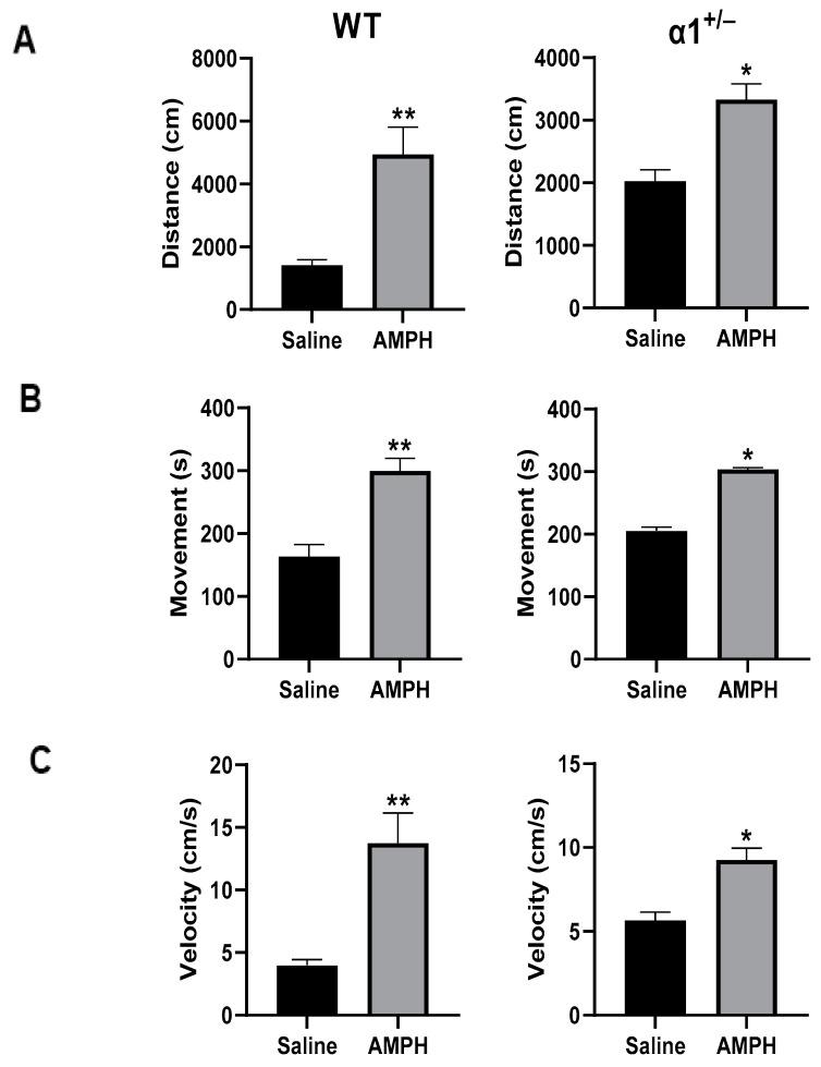 https://cdn.ncbi.nlm.nih.gov/pmc/blobs/b9b4/10855204/bfdcb0e5ab57/ijms-25-01644-g002.jpg