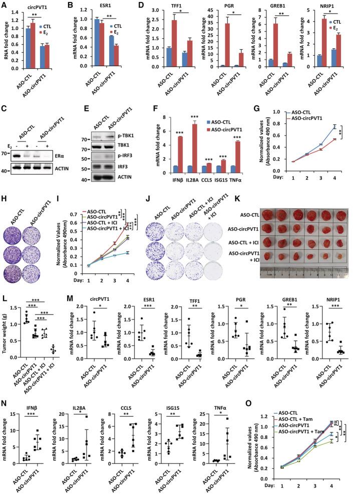 https://cdn.ncbi.nlm.nih.gov/pmc/blobs/b9b6/10183818/245dfe9801df/EMBJ-42-e112408-g002.jpg