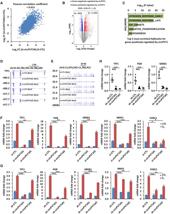 https://cdn.ncbi.nlm.nih.gov/pmc/blobs/b9b6/10183818/6b8b43bb5c51/EMBJ-42-e112408-g013.jpg