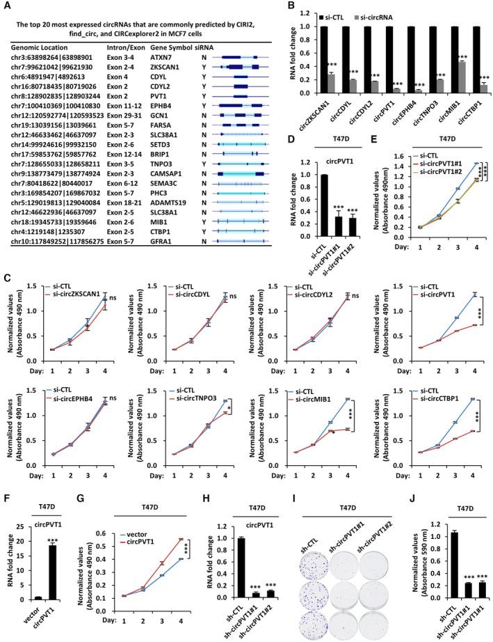https://cdn.ncbi.nlm.nih.gov/pmc/blobs/b9b6/10183818/90b06abfc824/EMBJ-42-e112408-g014.jpg
