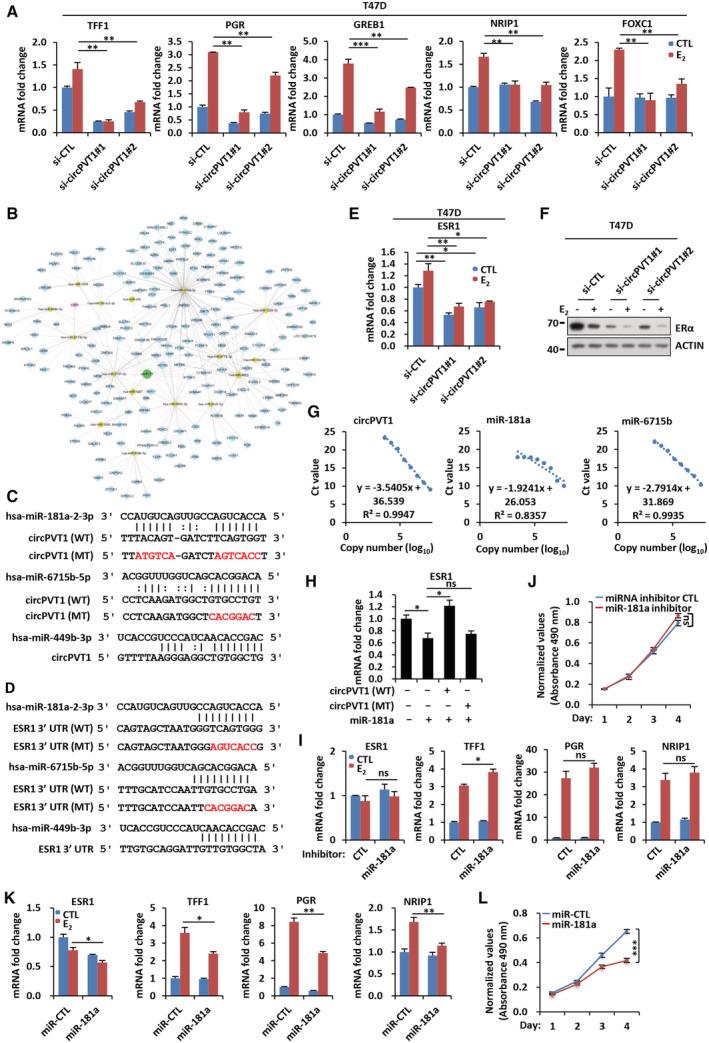https://cdn.ncbi.nlm.nih.gov/pmc/blobs/b9b6/10183818/a5137aa3b622/EMBJ-42-e112408-g011.jpg