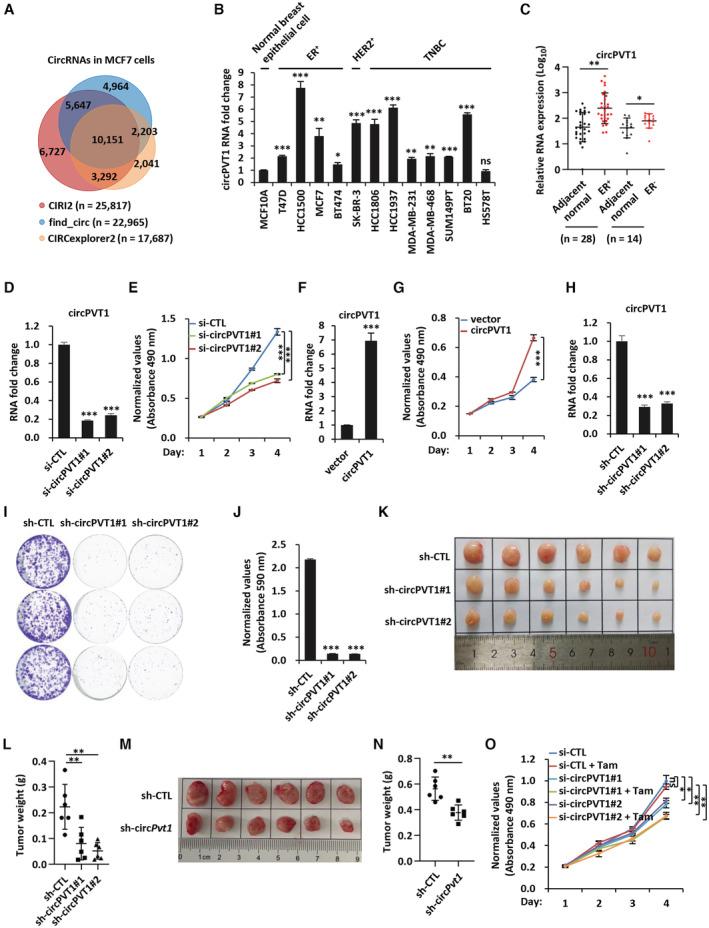 https://cdn.ncbi.nlm.nih.gov/pmc/blobs/b9b6/10183818/b9c0ad26d618/EMBJ-42-e112408-g009.jpg