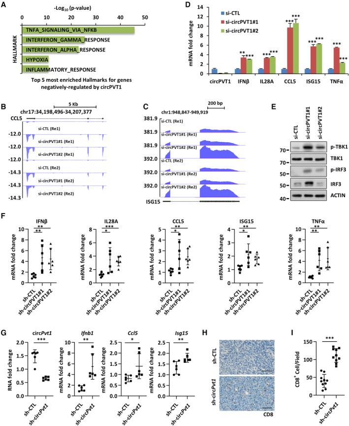 https://cdn.ncbi.nlm.nih.gov/pmc/blobs/b9b6/10183818/e821fd22f2c0/EMBJ-42-e112408-g005.jpg