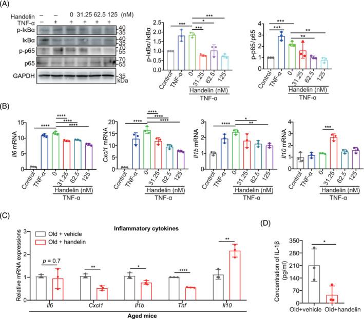 https://cdn.ncbi.nlm.nih.gov/pmc/blobs/b9b8/10834327/d4fb518f0d59/JCSM-15-173-g001.jpg