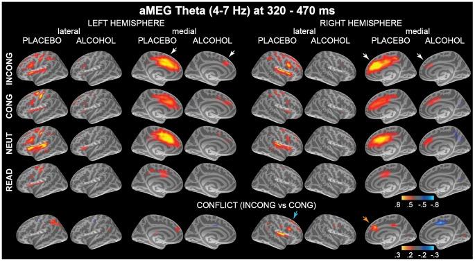 https://cdn.ncbi.nlm.nih.gov/pmc/blobs/b9b8/3428276/be05e3b67a3f/pone.0043957.g002.jpg