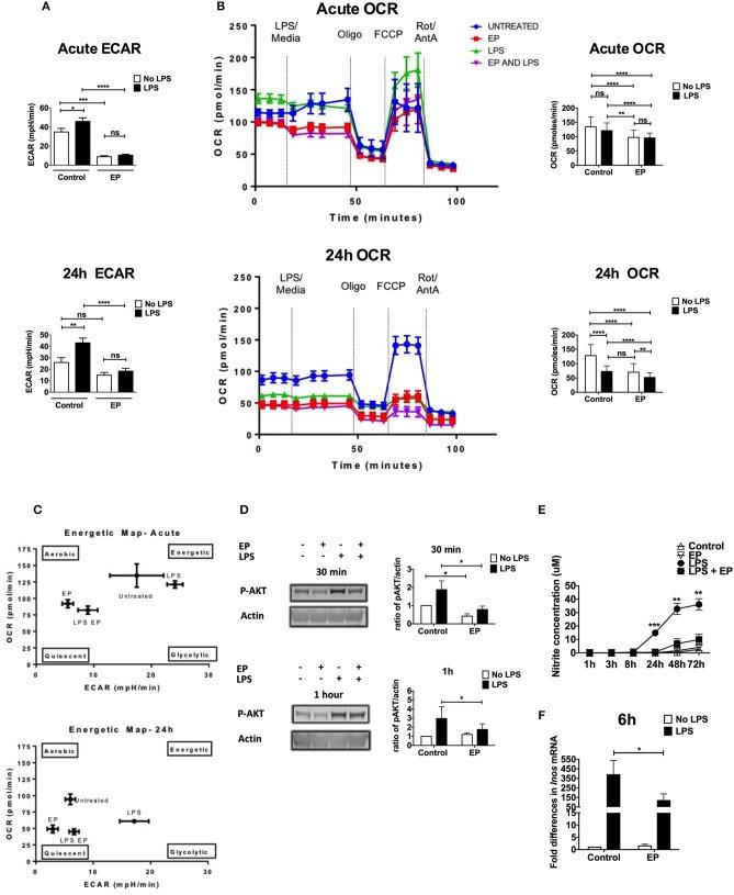 https://cdn.ncbi.nlm.nih.gov/pmc/blobs/b9b8/6362406/233d64390fc2/fimmu-10-00030-g0006.jpg