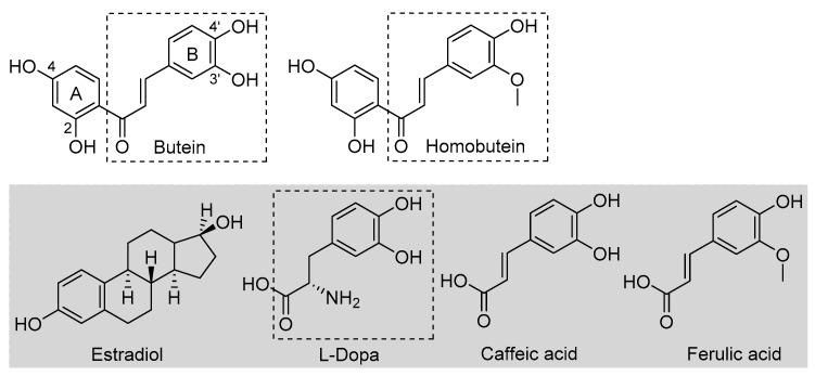 https://cdn.ncbi.nlm.nih.gov/pmc/blobs/b9b9/10525132/aa5582684703/antioxidants-12-01763-g001.jpg