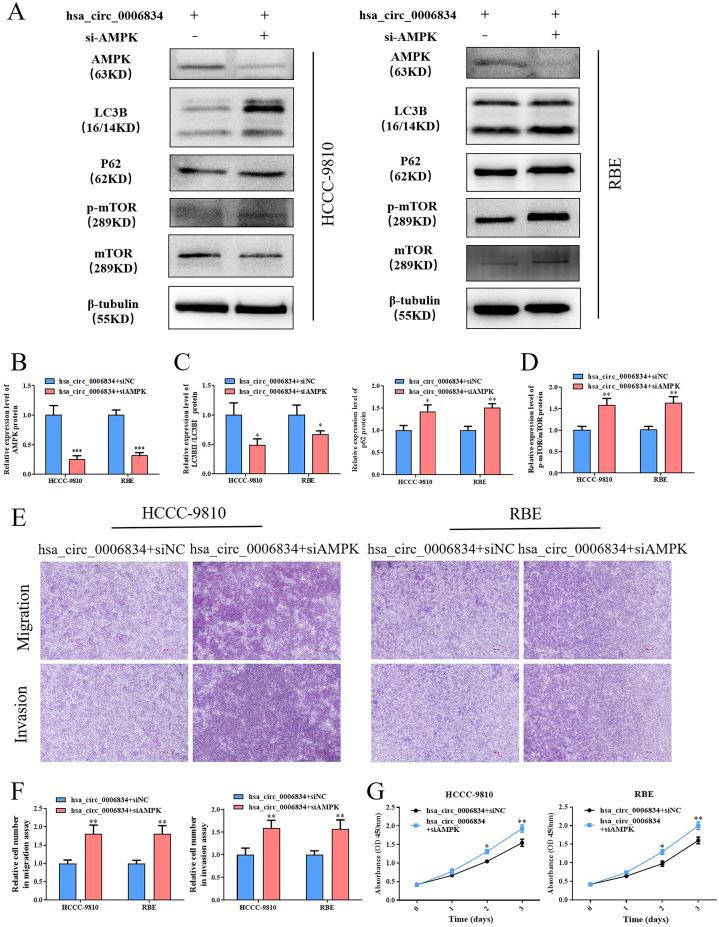 https://cdn.ncbi.nlm.nih.gov/pmc/blobs/b9b9/12321115/84aae1f13987/pone.0329847.g006.jpg