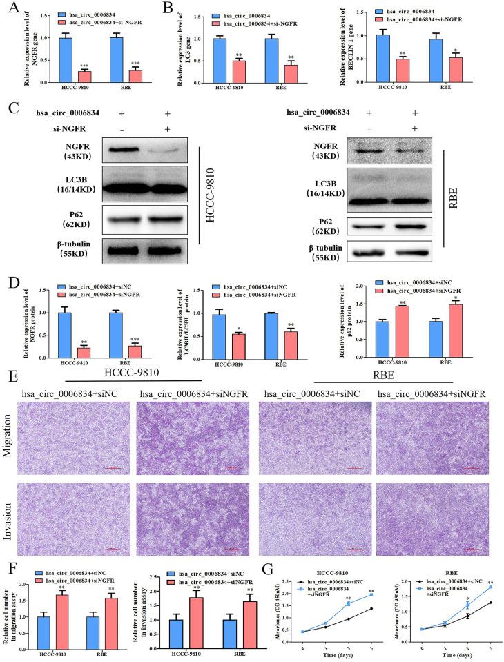 https://cdn.ncbi.nlm.nih.gov/pmc/blobs/b9b9/12321115/883eca0f8ccf/pone.0329847.g004.jpg