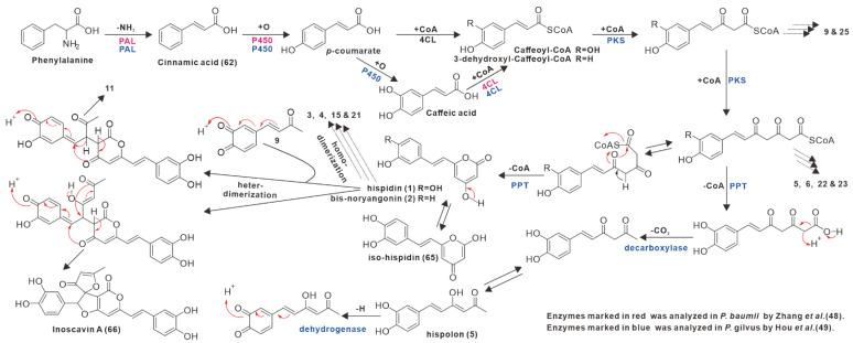 https://cdn.ncbi.nlm.nih.gov/pmc/blobs/b9bd/9405263/2856aa7ca92d/antibiotics-11-01097-g008.jpg