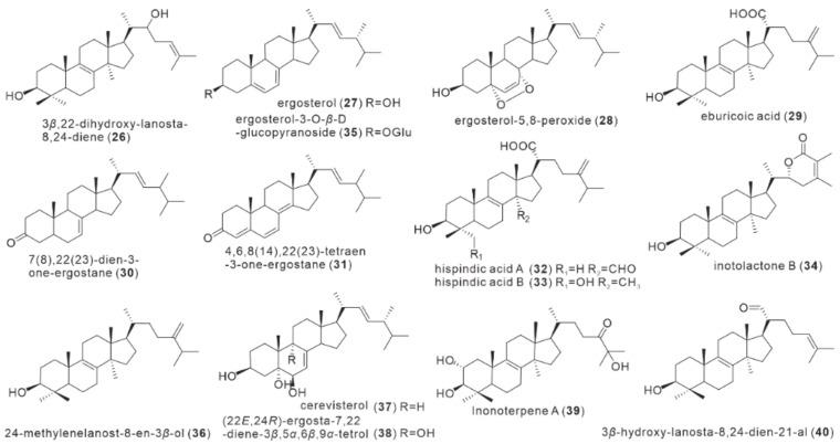 https://cdn.ncbi.nlm.nih.gov/pmc/blobs/b9bd/9405263/c8311bcde9a6/antibiotics-11-01097-g003.jpg
