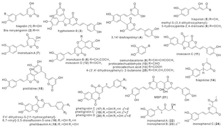 https://cdn.ncbi.nlm.nih.gov/pmc/blobs/b9bd/9405263/ce357292f8a4/antibiotics-11-01097-g002.jpg