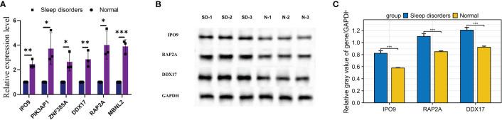 https://cdn.ncbi.nlm.nih.gov/pmc/blobs/b9bf/11196417/4e6b2499bcaf/fimmu-15-1381765-g008.jpg