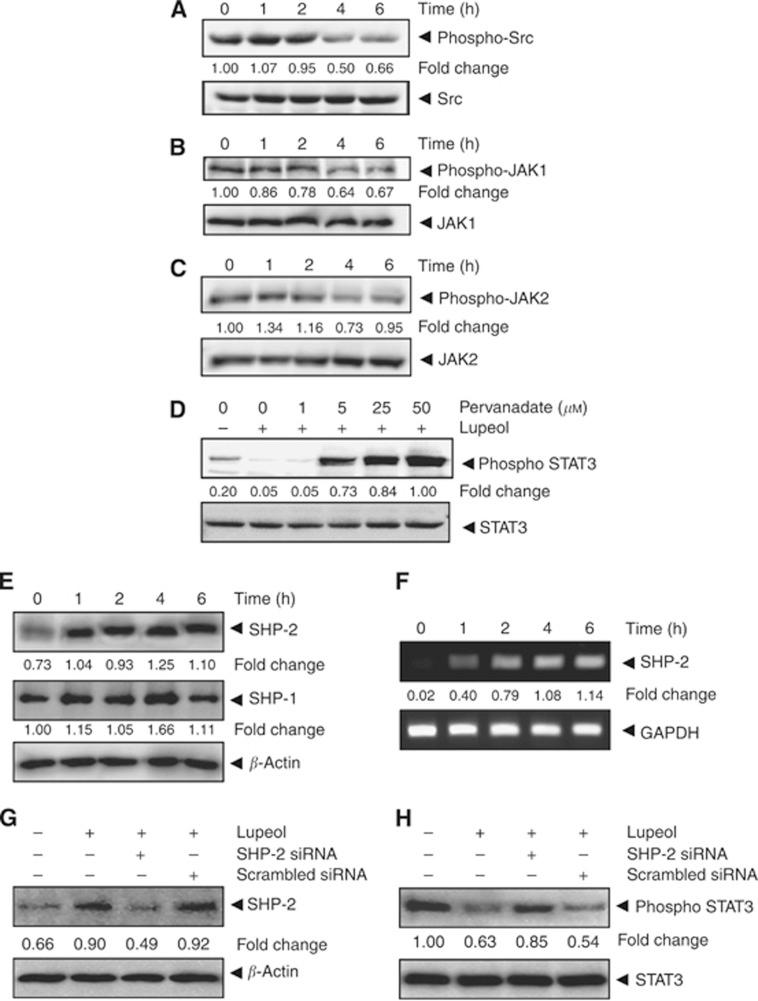 https://cdn.ncbi.nlm.nih.gov/pmc/blobs/b9c1/4183851/4348bb568268/bjc2014422f2.jpg