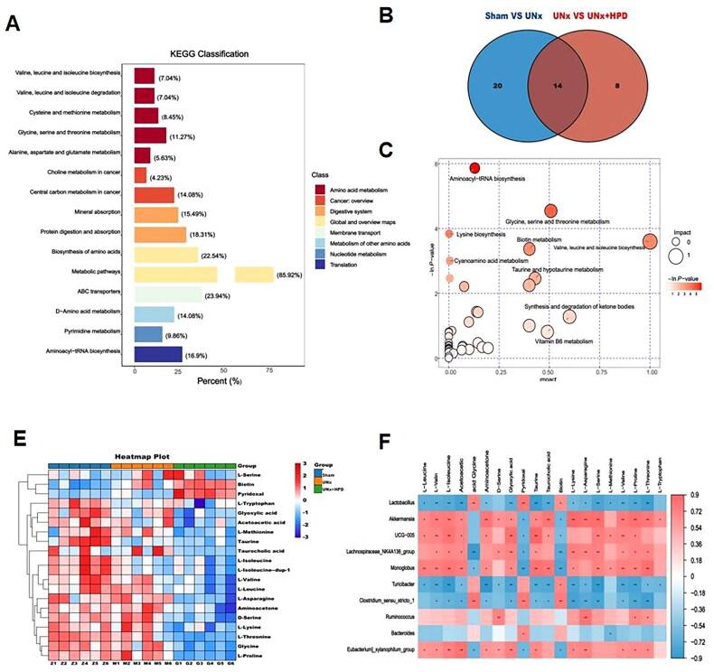 https://cdn.ncbi.nlm.nih.gov/pmc/blobs/b9c4/11321104/072268e115eb/IRNF_A_2387429_F0005_C.jpg