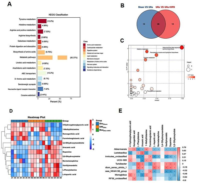 https://cdn.ncbi.nlm.nih.gov/pmc/blobs/b9c4/11321104/394866893bfd/IRNF_A_2387429_F0004_C.jpg