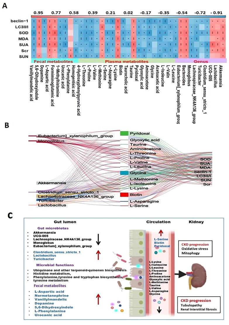 https://cdn.ncbi.nlm.nih.gov/pmc/blobs/b9c4/11321104/ac5dfa3b5154/IRNF_A_2387429_F0006_C.jpg
