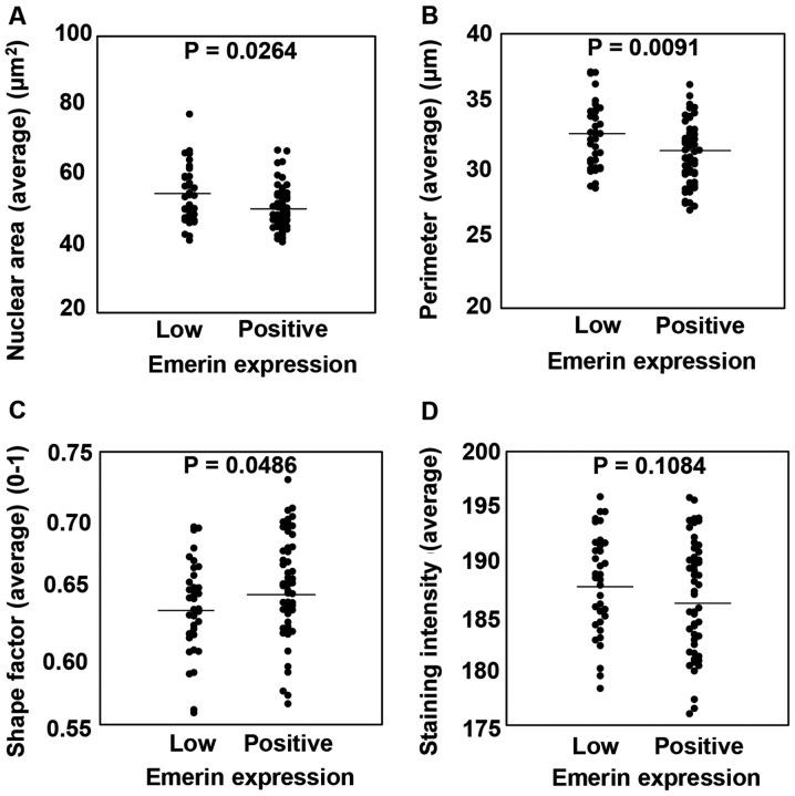 https://cdn.ncbi.nlm.nih.gov/pmc/blobs/b9c4/6278501/71e42e84c38d/OR-41-01-0133-g05.jpg
