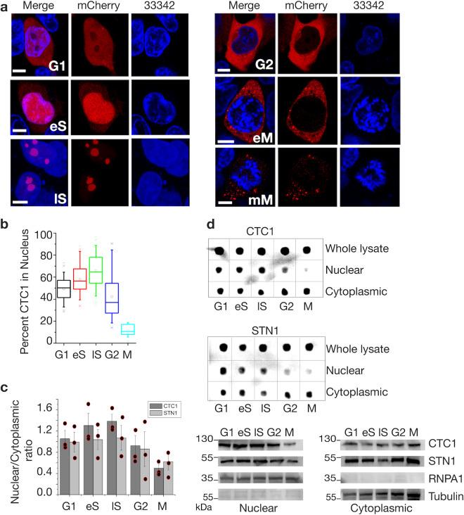 https://cdn.ncbi.nlm.nih.gov/pmc/blobs/b9c4/7969954/60ef0a5f64da/42003_2021_1845_Fig2_HTML.jpg