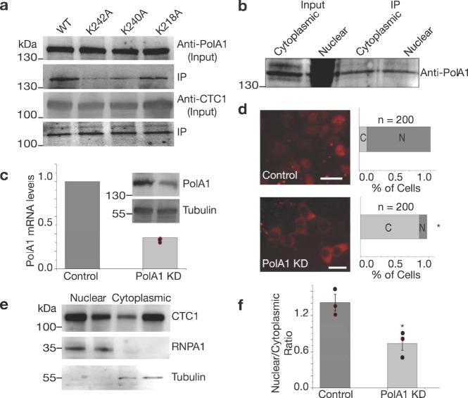 https://cdn.ncbi.nlm.nih.gov/pmc/blobs/b9c4/7969954/729566c22e12/42003_2021_1845_Fig6_HTML.jpg