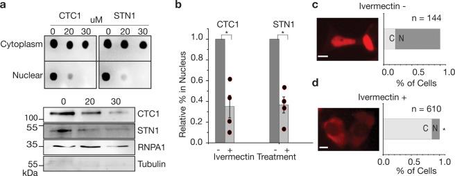 https://cdn.ncbi.nlm.nih.gov/pmc/blobs/b9c4/7969954/e989a69e7c96/42003_2021_1845_Fig3_HTML.jpg