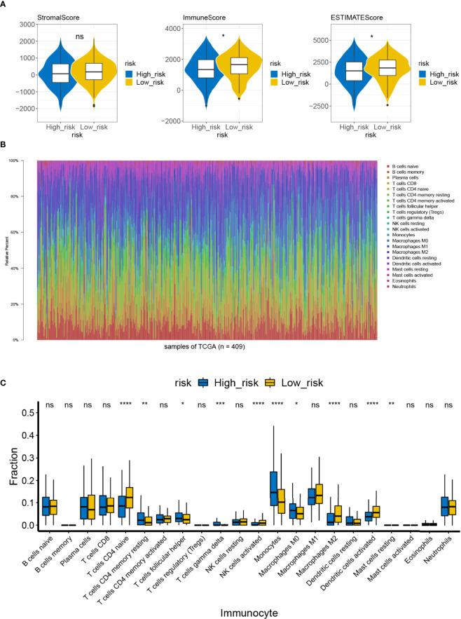 https://cdn.ncbi.nlm.nih.gov/pmc/blobs/b9c4/9271775/7cd128b4d5d8/fonc-12-699824-g009.jpg