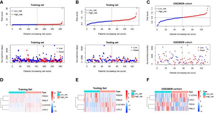https://cdn.ncbi.nlm.nih.gov/pmc/blobs/b9c4/9271775/ffdebbe9d92b/fonc-12-699824-g007.jpg