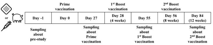 https://cdn.ncbi.nlm.nih.gov/pmc/blobs/b9c6/11677855/0e9e2a06656c/pharmaceutics-16-01631-g002.jpg
