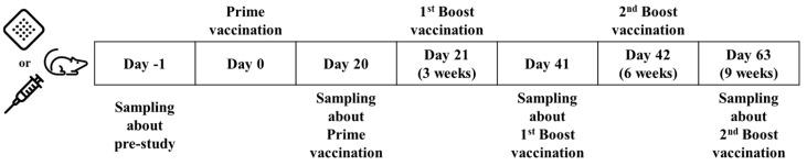 https://cdn.ncbi.nlm.nih.gov/pmc/blobs/b9c6/11677855/819d2f2cb18c/pharmaceutics-16-01631-g001.jpg